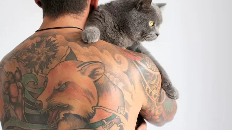 1 back-view-man-being-affectionate-with-cat